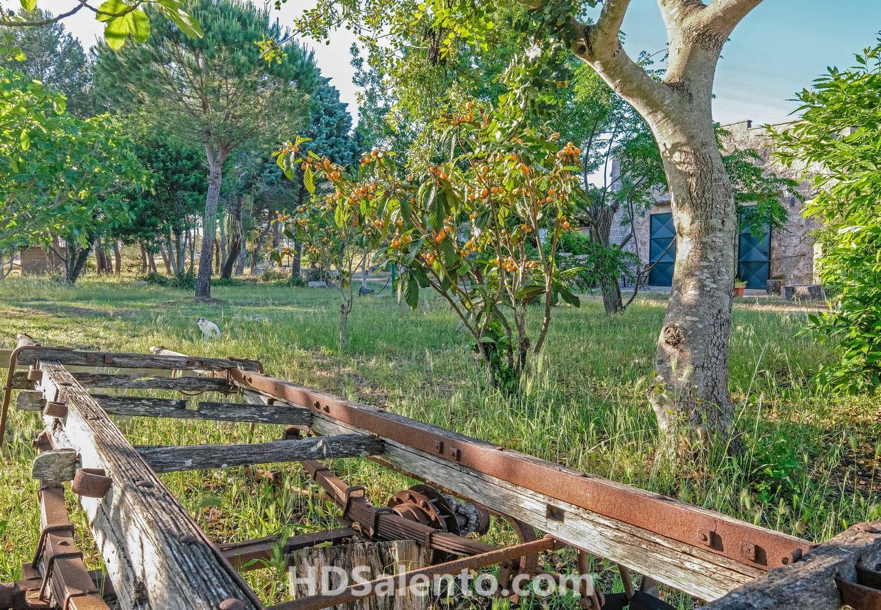 Bed and Breakfast Masseria Macurano Alessano Exteriér fotografie